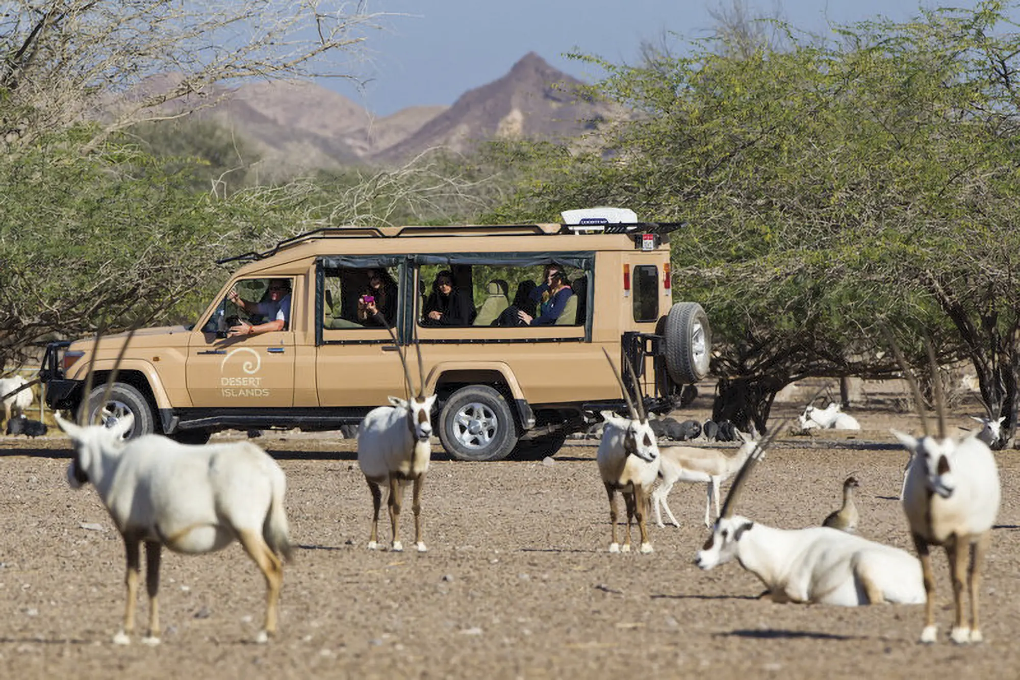 Bischofberger-Reisen_Hotel_Desert_Island_04
