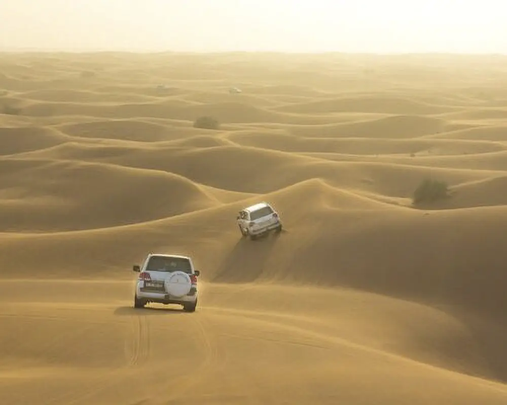 Bischofsberger-Reisen_Land_Dubai_Dune_Dinner_Safari