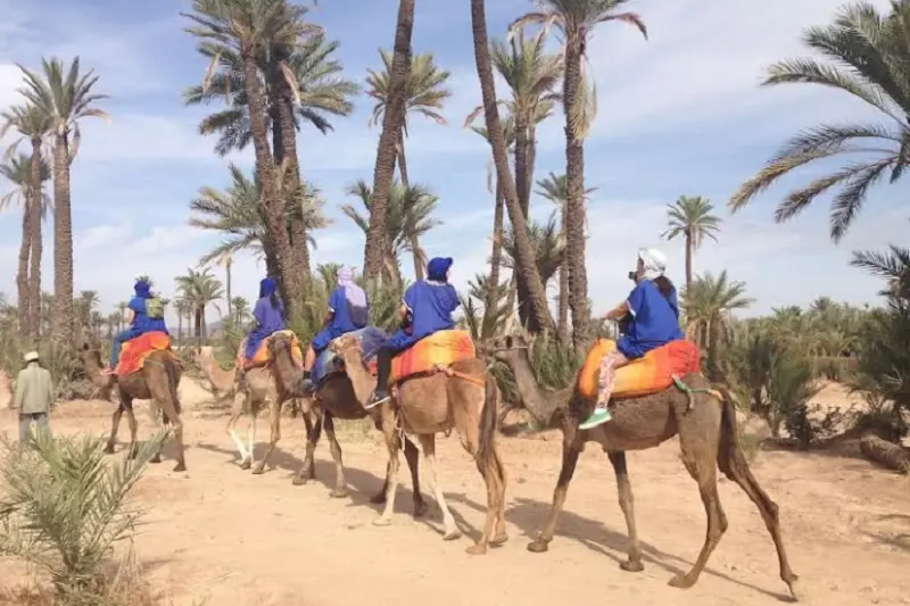 Bischofberger-Reisen-Marokko-Kamelreiten
