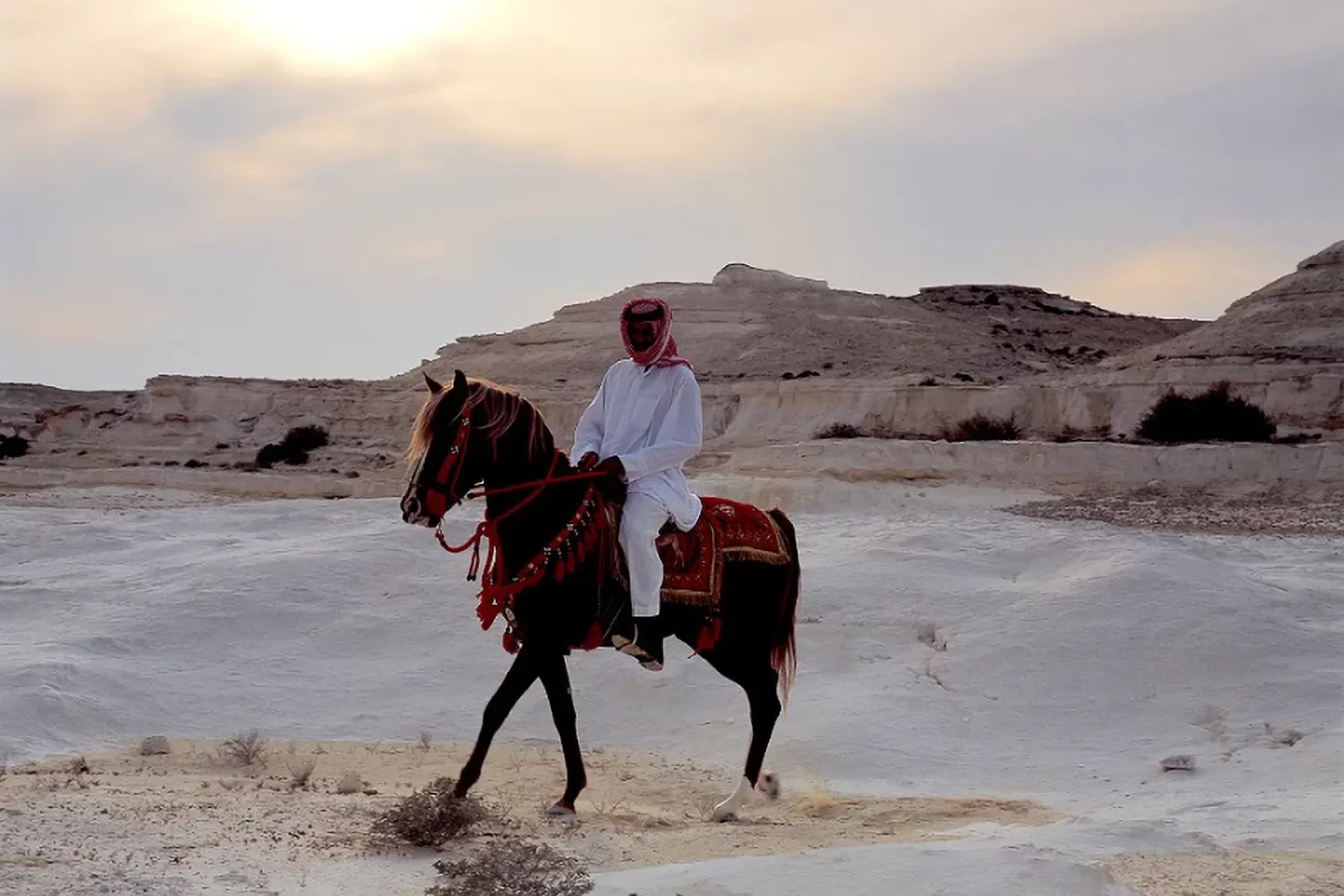 Bischofsberger-Reisen_Land_Bahrain_Pferd
